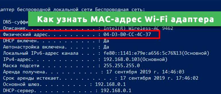 Как найти MAC адрес WiFi адаптера на Windows?